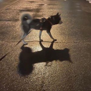 Meet your Posher, Brandi